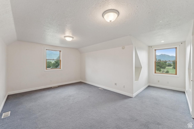 3136 W 2400th St S, Charleston, UT 84032 - additional living space featuring a textured ceiling, vaulted ceiling, and carpet