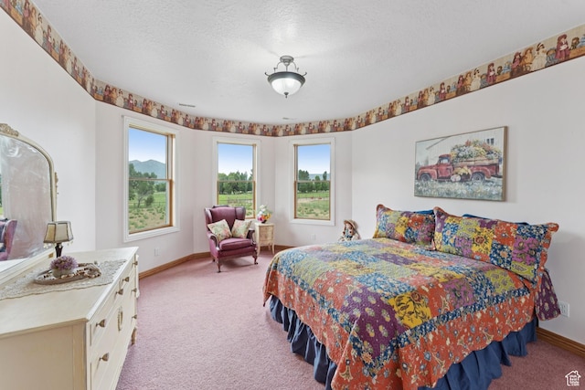 3136 W 2400th St S, Charleston, UT 84032 - bedroom with light carpet and a textured ceiling