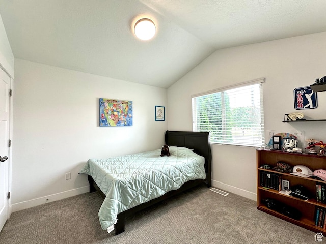 12137 S Black Powder Dr, Herriman, UT 84096 - photo 18