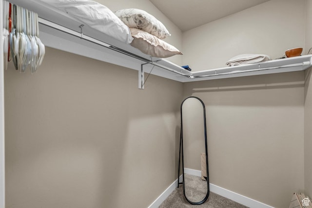1468 S Sage Ct S Unit 13, Kanab, UT 84741 - spacious closet featuring carpet floors