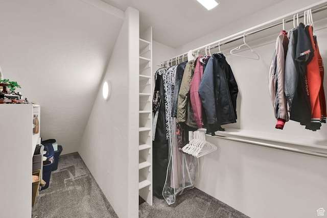 7496 S 1740 E, South Weber, UT 84405 - walk in closet featuring carpet
