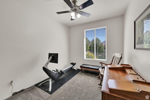 7496 S 1740 E, South Weber, UT 84405 - workout area featuring carpet flooring, plenty of natural light, and ceiling fan