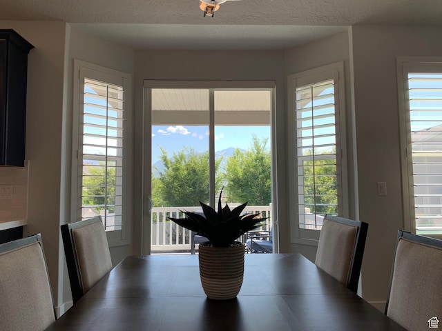 11709 S 2610 W, Riverton, UT 84065 - dining area featuring healthy amount of natural light