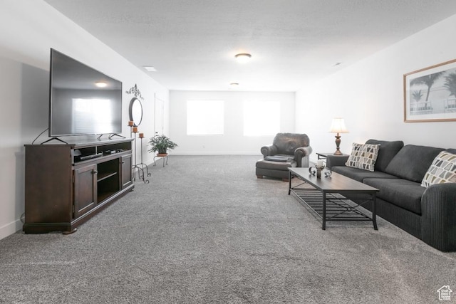 11709 S 2610 W, Riverton, UT 84065 - living room with carpet and baseboards
