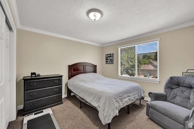 2779 E 3575 N, Layton, UT 84040 - carpeted bedroom with ornamental molding and a textured ceiling