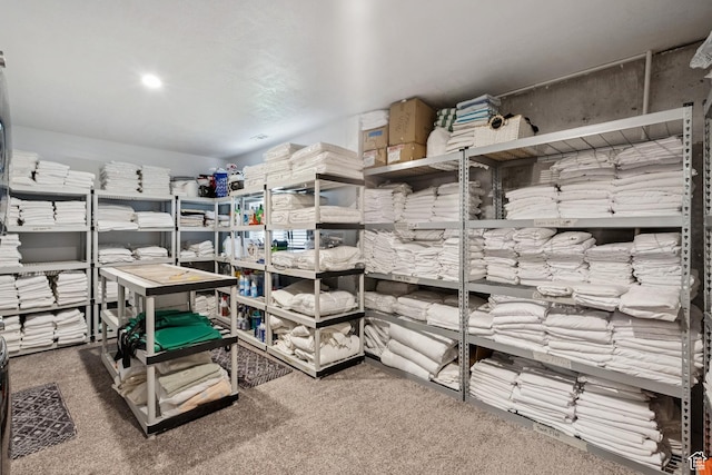 294 W Willow Ct Unit 12, Francis, UT 84036 - view of storage