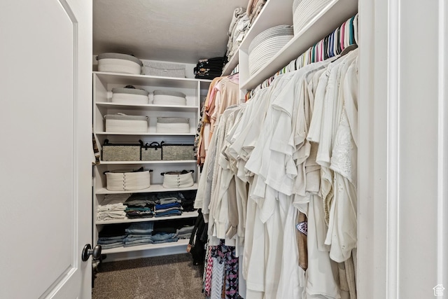 294 W Willow Ct Unit 12, Francis, UT 84036 - walk in closet with carpet flooring