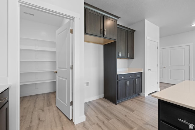 3105 W 3150 N, Plain City, UT 84404 - kitchen featuring light wood-style flooring, light countertops, and dark brown cabinets