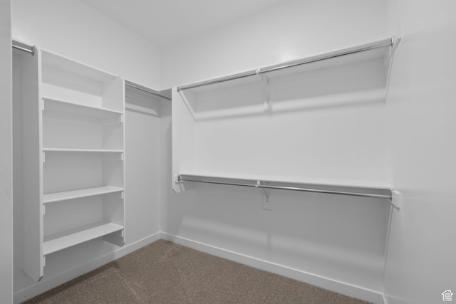 3105 W 3150 N, Plain City, UT 84404 - walk in closet with dark carpet