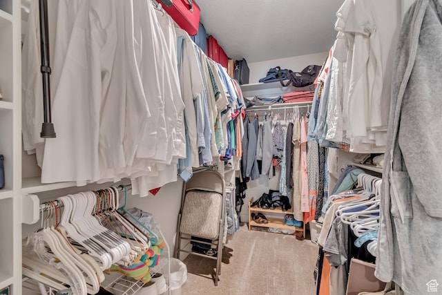 453 S Short Horse Ln Unit C, Saratoga Springs, UT 84045 - walk in closet featuring carpet flooring