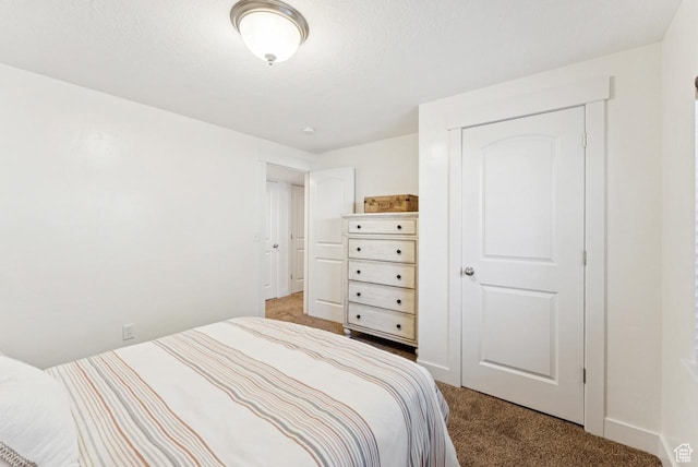 422 W 390 S, Spanish Fork, UT 84660 - bedroom with light colored carpet