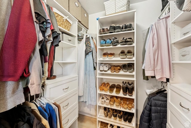 422 W 390 S, Spanish Fork, UT 84660 - spacious closet with light wood-type flooring