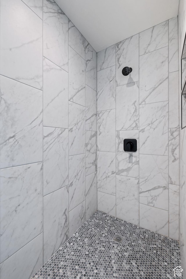 507 N 3650 W, Hurricane, UT 84737 - bathroom featuring a tile shower