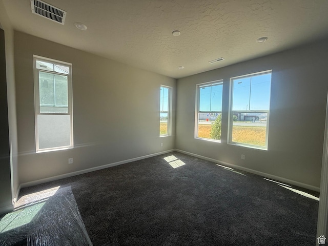 6184 W 11800 S Unit 508, Riverton, UT 84096 - spare room with carpet floors and a textured ceiling