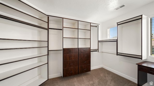 14267 S Palo Alto Dr, Herriman, UT 84096 - walk in closet featuring dark carpet