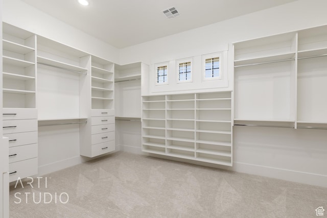 671 E Arina Way, Washington, UT 84780 - walk in closet with carpet