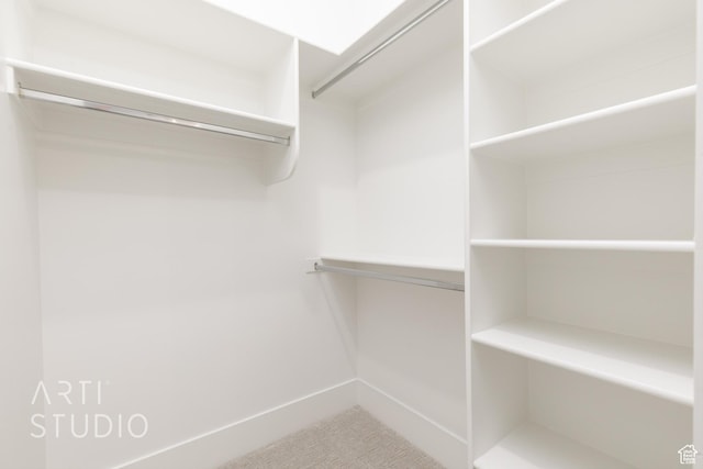671 E Arina Way, Washington, UT 84780 - view of spacious closet