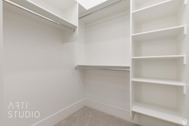 671 E Arina Way, Washington, UT 84780 - spacious closet with carpet floors