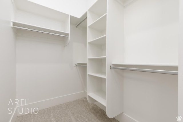 671 E Arina Way, Washington, UT 84780 - spacious closet with carpet