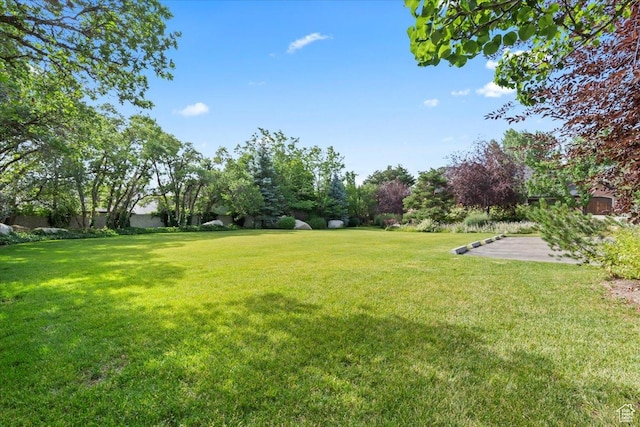 3149 E 9800 S, Sandy, UT 84092 - view of grassy yard