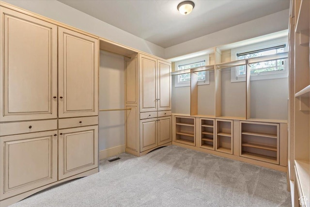 3149 E 9800 S, Sandy, UT 84092 - spacious closet with light carpet