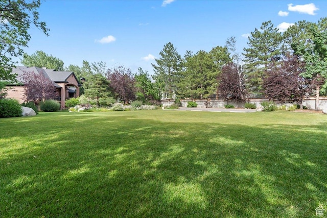 3149 E 9800 S, Sandy, UT 84092 - view of grassy yard
