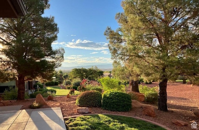 1319 W Red Butte Dr W, Washington, UT 84780 - view of yard