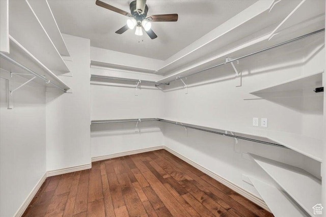 1319 W Red Butte Dr W, Washington, UT 84780 - spacious closet featuring wood finished floors and a ceiling fan