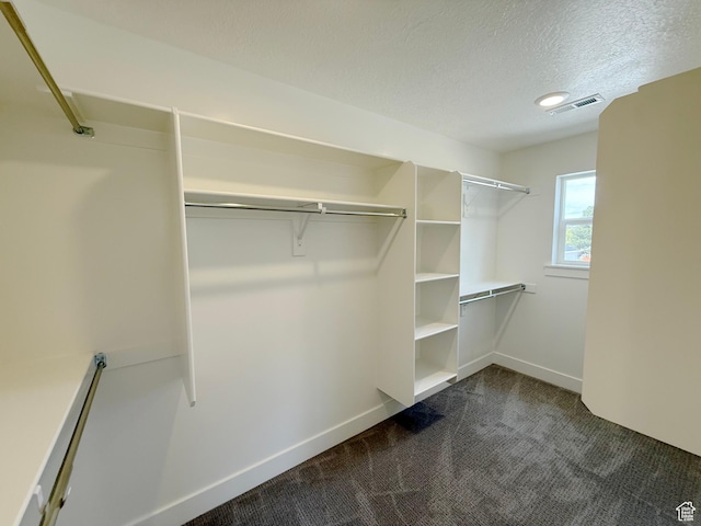 2237 E Parkside Cir S, South Ogden, UT 84403 - spacious closet featuring dark colored carpet