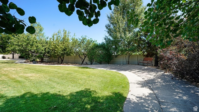 11597 N Sunset Hills Dr, Highland, UT 84003 - view of yard