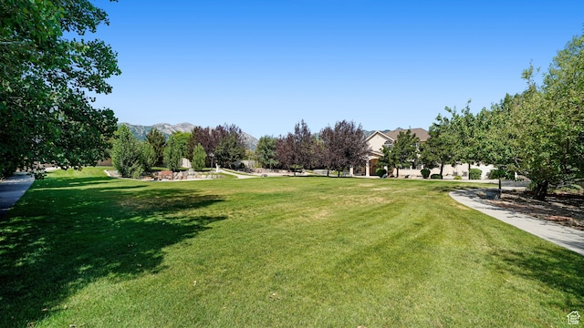 11597 N Sunset Hills Dr, Highland, UT 84003 - view of green lawn