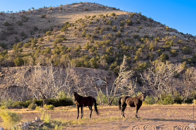 70 Desert Solitaire Rd, Moab, UT 84532 - mountain view featuring rural landscape