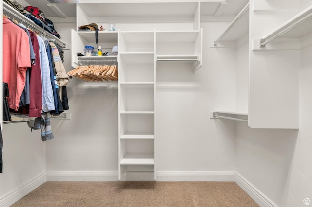 1066 W 575 N, Springville, UT 84663 - walk in closet featuring carpet flooring