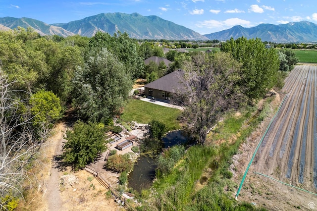 1066 W 575 N, Springville, UT 84663 - view of mountain backdrop featuring rural landscape