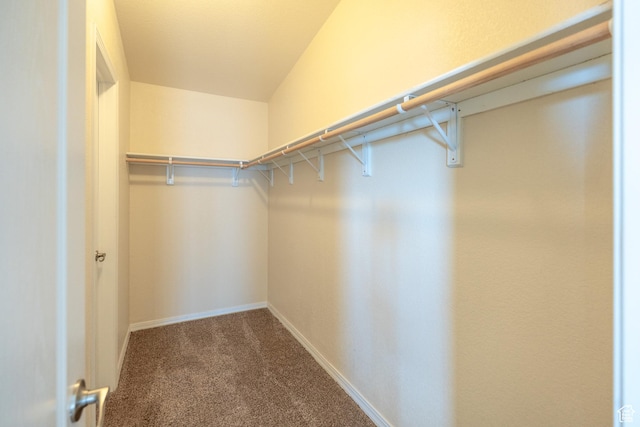 4568 Pueblo Verde Dr, Moab, UT 84532 - walk in closet with carpet floors