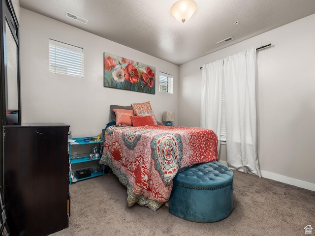 523 N 310 W, Vineyard, UT 84059 - carpeted bedroom with baseboards