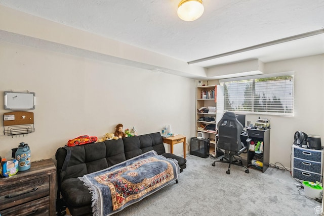 9355 S Peruvian Dr E, Sandy, UT 84093 - office area featuring carpet