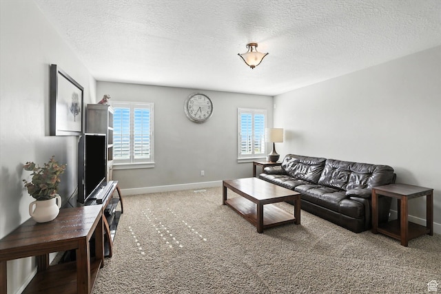 1065 S 800 E, Providence, UT 84332 - photo 10
