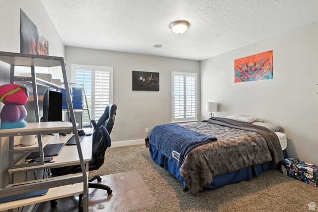 1065 S 800 E, Providence, UT 84332 - photo 20