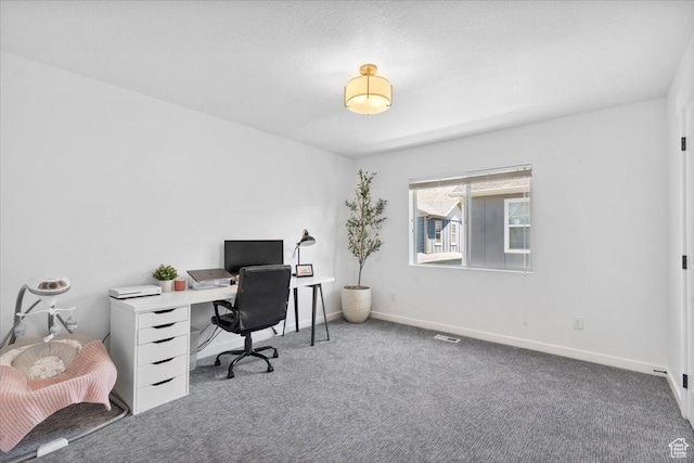 15181 S Sabre Pl, Bluffdale, UT 84065 - carpeted office space with baseboards