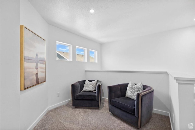 15181 S Sabre Pl, Bluffdale, UT 84065 - sitting room featuring carpet flooring and a textured ceiling
