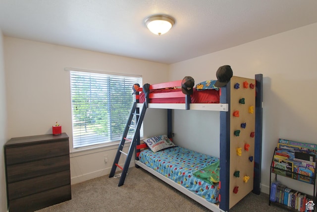 1464 W 800 S, Logan, UT 84321 - view of carpeted bedroom