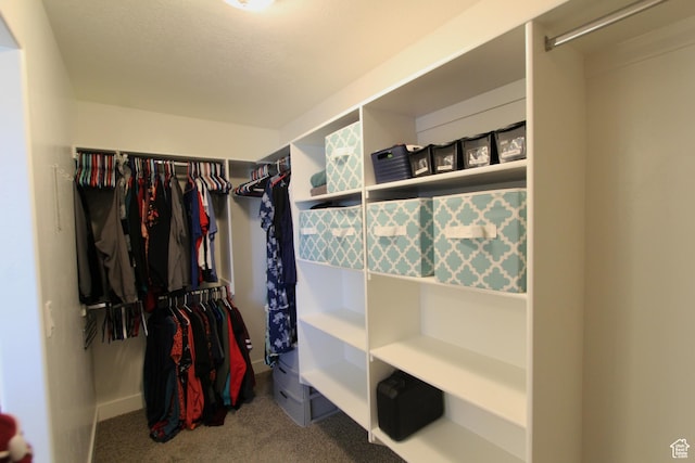 1464 W 800 S, Logan, UT 84321 - spacious closet with carpet