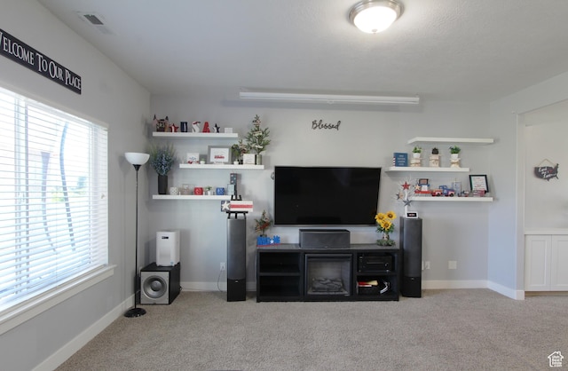 1464 W 800 S, Logan, UT 84321 - living room with carpet flooring and plenty of natural light