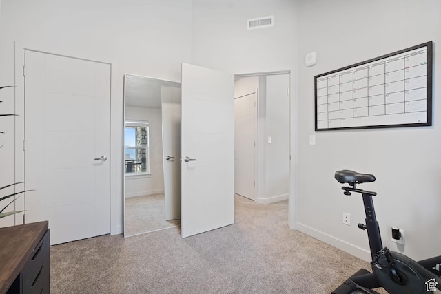 490 S 100 W Unit F305, Springville, UT 84663 - workout area with carpet flooring and baseboards