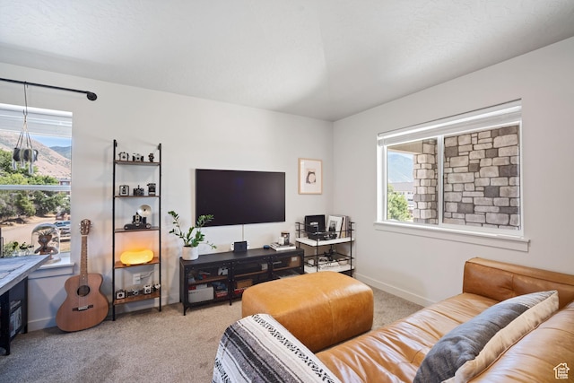 490 S 100 W Unit F305, Springville, UT 84663 - carpeted living room featuring healthy amount of natural light and a desk