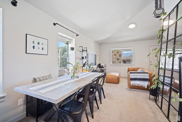 490 S 100 W Unit F305, Springville, UT 84663 - dining room with carpet and healthy amount of natural light