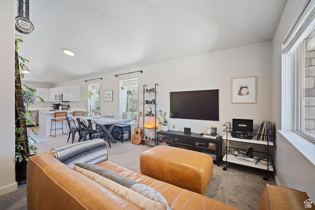 490 S 100 W Unit F305, Springville, UT 84663 - living area with carpet and baseboards