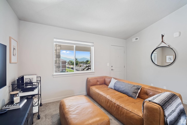 490 S 100 W Unit F305, Springville, UT 84663 - carpeted living room featuring baseboards