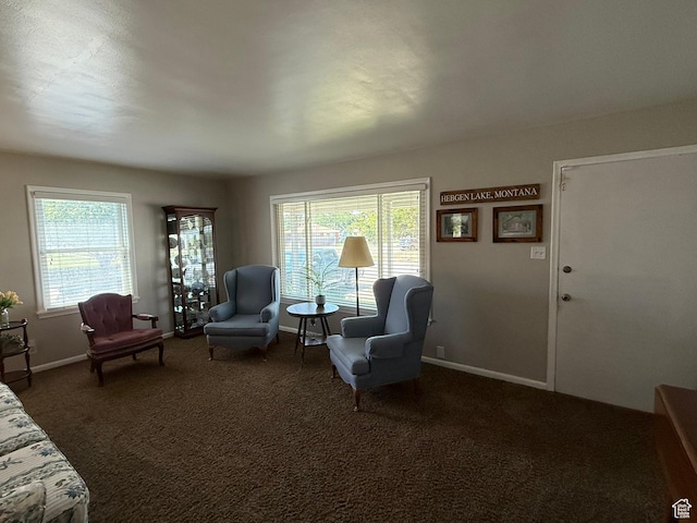 5140 S 2175 W, Roy, UT 84067 - living area with plenty of natural light and carpet floors